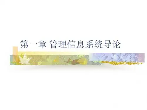 第一章华农符少玲管理信息系统课件