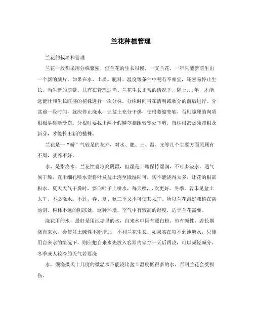 兰花种植管理