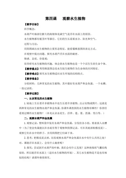 教科版三年级科学上册全册教案