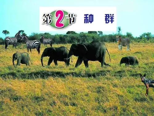 科学九年级下浙教版2.2种群(38张ppt)