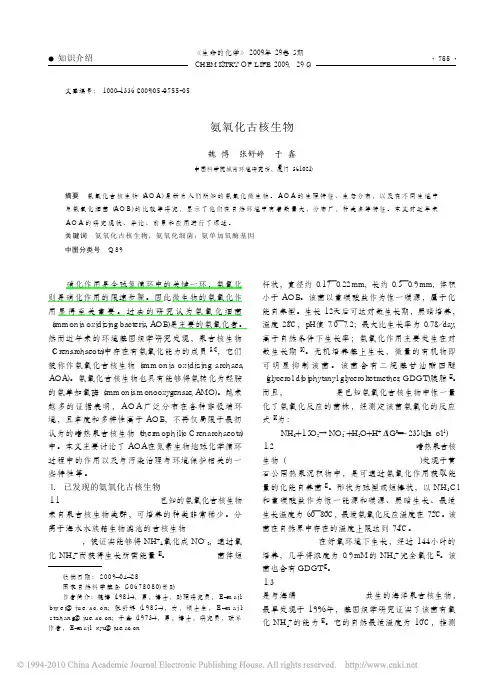氨氧化古核生物
