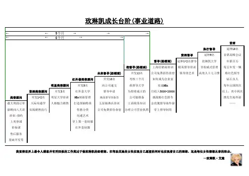 玫琳凯成长台阶(事业道路)