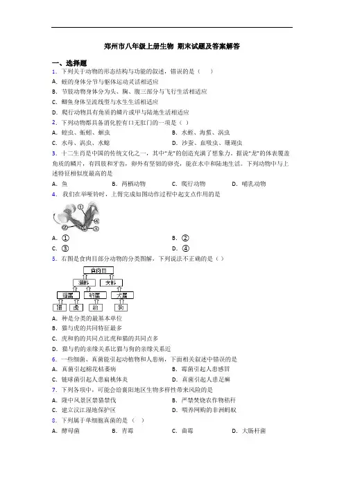 郑州市八年级上册生物 期末试题及答案解答