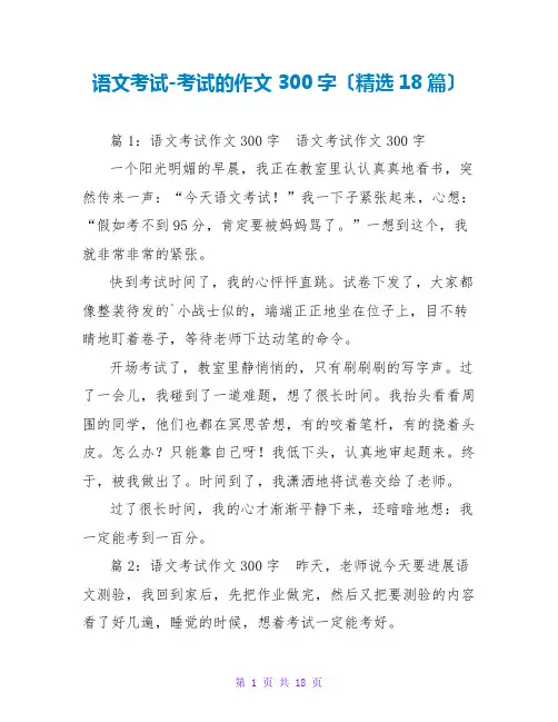 语文考试-考试的作文300字(精选18篇)