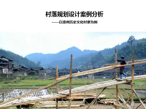 贵州乡村规划设计分析 (课堂PPT)