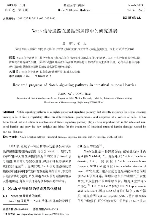 Notch信号通路在肠黏膜屏障中的研究进展