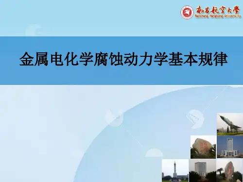 腐蚀动力学.