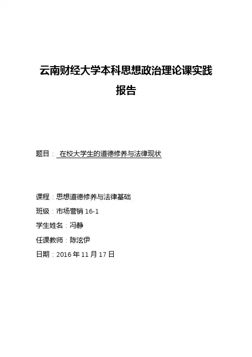 思想政治理论课社会实践报告