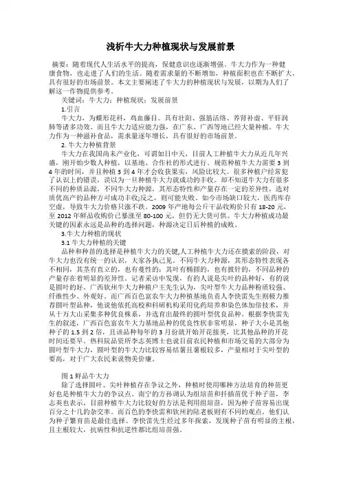 浅析牛大力种植现状与发展前景