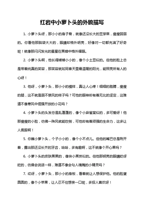 红岩中小萝卜头的外貌描写