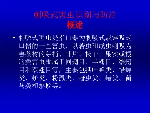 刺吸式害虫识别与防治