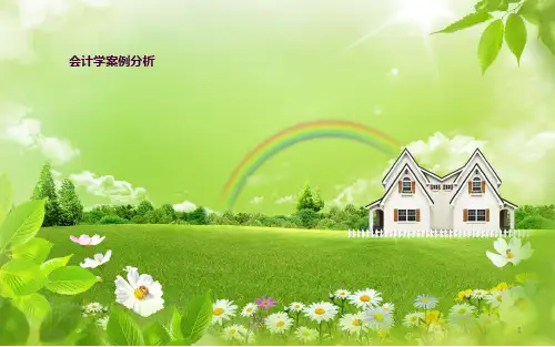 会计学案例分析ppt课件