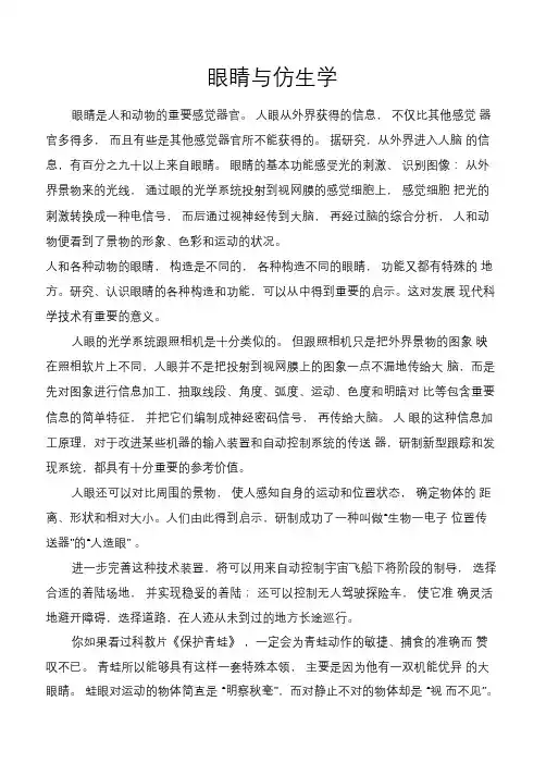 眼睛与仿生学