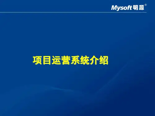 房地产公司项目管理系统