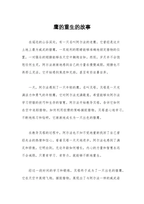 鹰的重生的故事