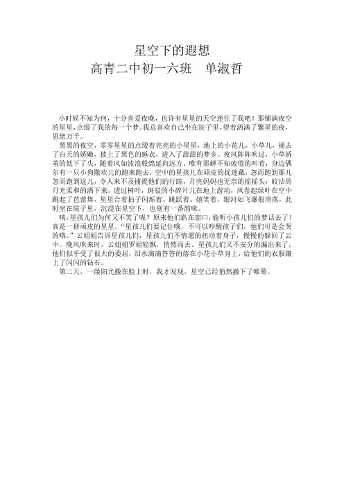 单淑哲《星空下的遐想》