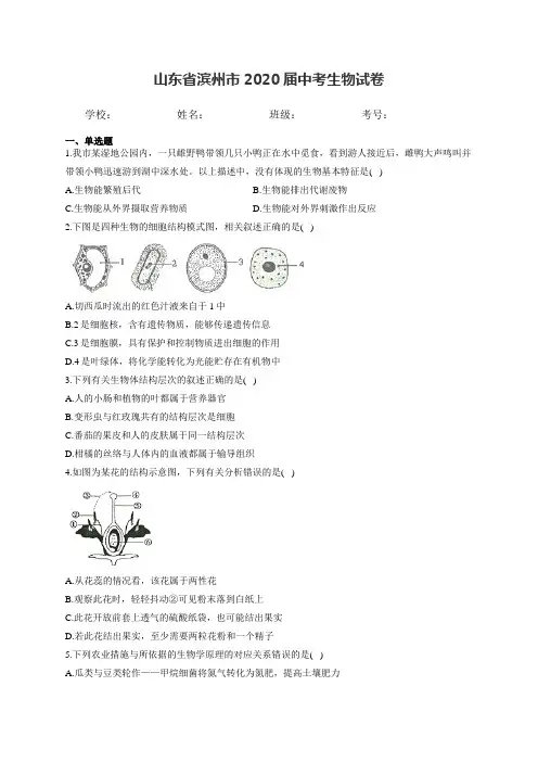 山东省滨州市2020届中考生物试卷和答案