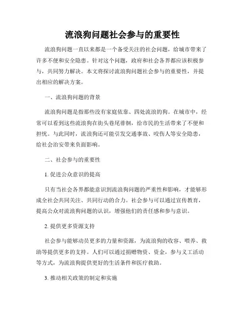 流浪狗问题社会参与的重要性