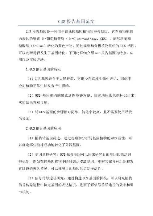 GUS报告基因范文