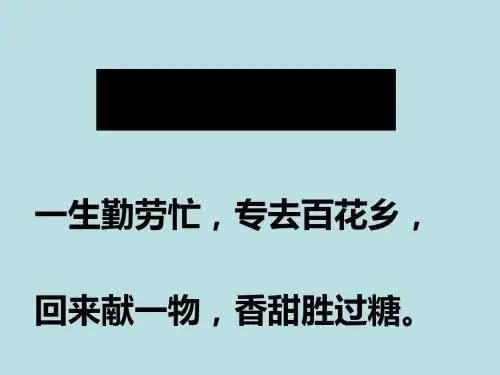 农业益虫PPT课件1