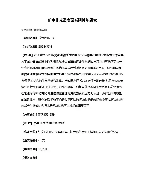 仿生非光滑表面减阻性能研究