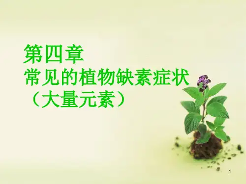 植物大量元素缺素症状ppt课件