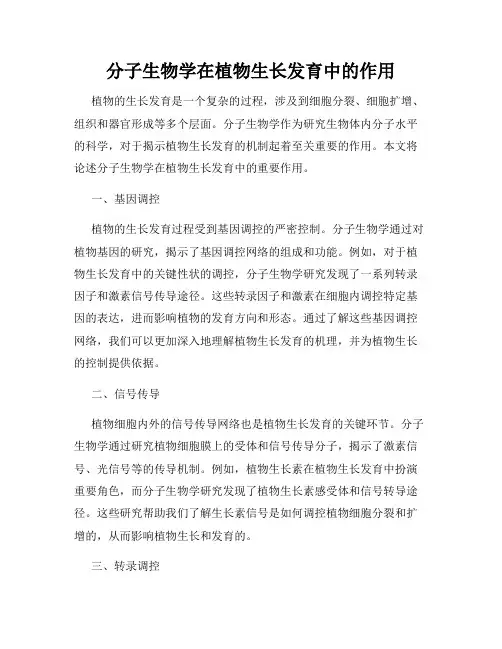 分子生物学在植物生长发育中的作用