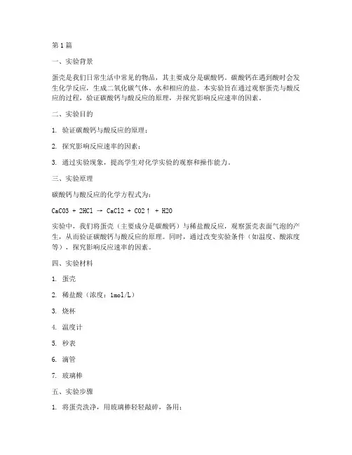 消失的蛋壳实验报告(3篇)