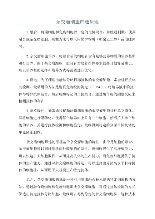 杂交瘤细胞筛选原理