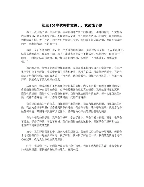 初三800字优秀作文终于,我读懂了你