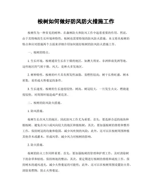 桉树如何做好防风防火措施工作