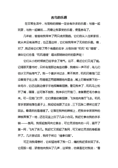 六年级作文：养鸟的乐趣作文600字