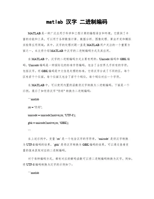 matlab 汉字 二进制编码