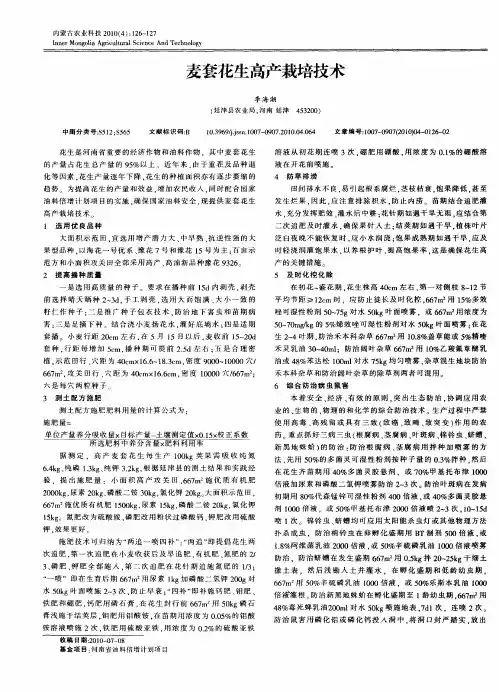 麦套花生高产栽培技术