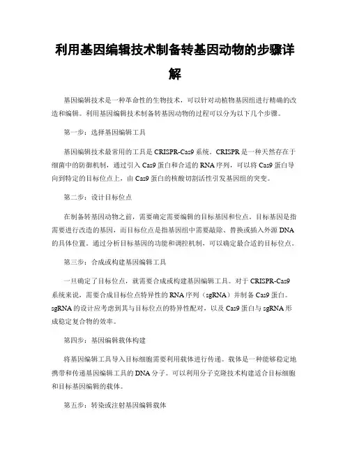 利用基因编辑技术制备转基因动物的步骤详解