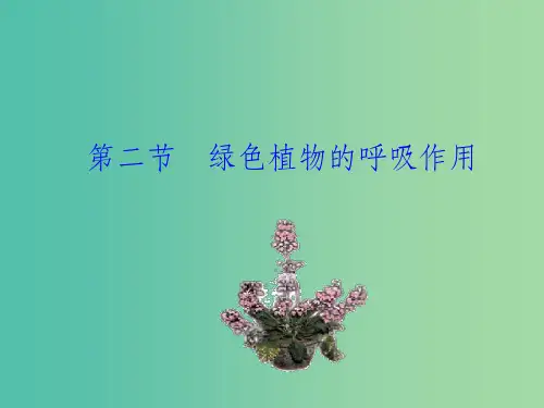 七年级生物上册 3.5.2 绿色植物的呼吸作用教学 新人教版