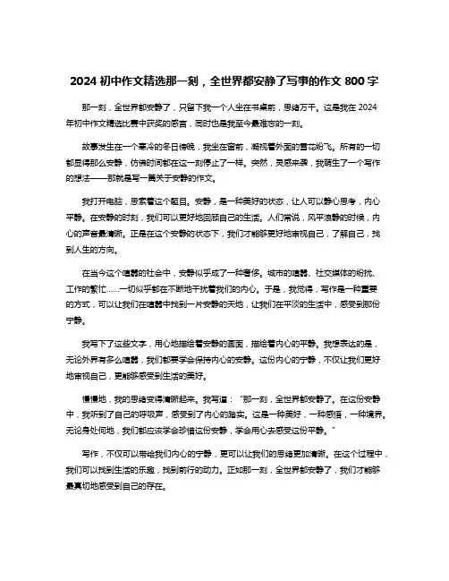 2024初中作文精选那一刻,全世界都安静了写事的作文800字