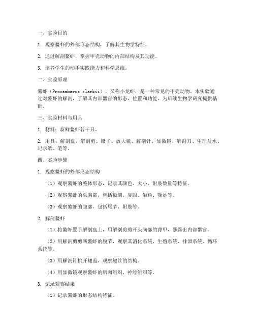 鳌虾的解剖实验报告