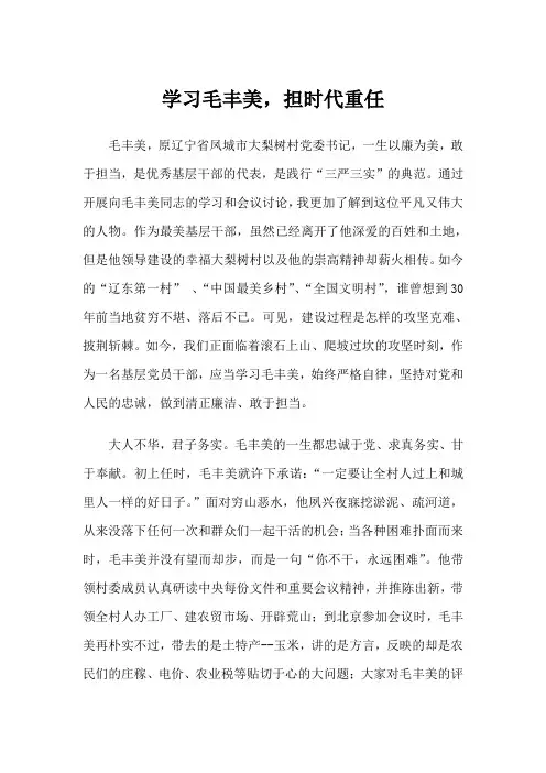 学习毛丰美,担时代重任