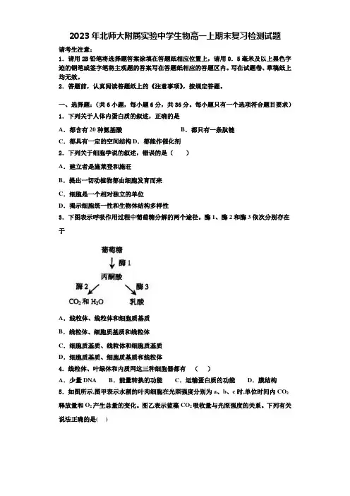 2023年北师大附属实验中学生物高一上期末复习检测试题含解析