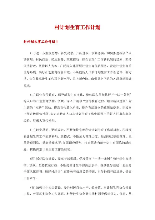 村计划生育工作计划