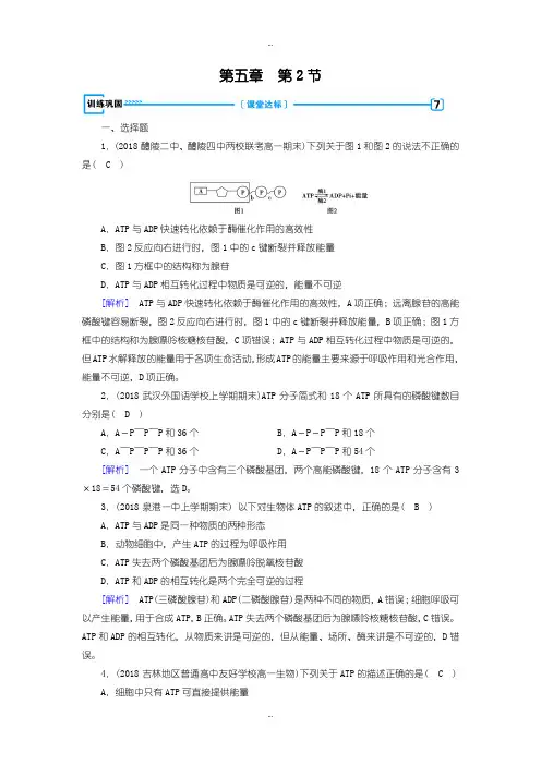 2019-2020年人教版生物必修1练习：第5章 第2节 训练巩固含答案