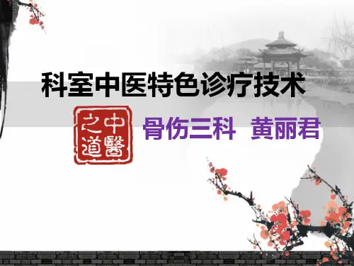 中医特色治疗 PPT课件