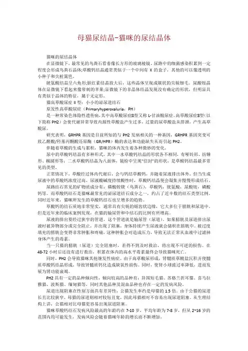 母猫尿结晶-猫咪的尿结晶体