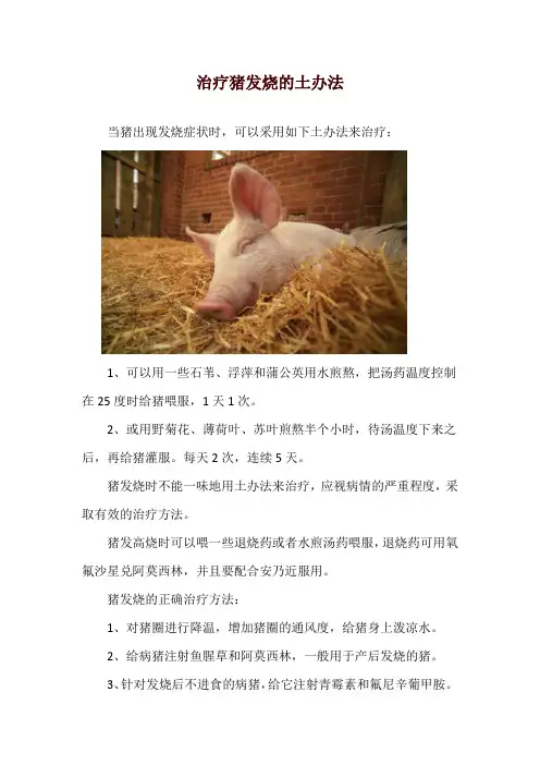 治疗猪发烧的土办法