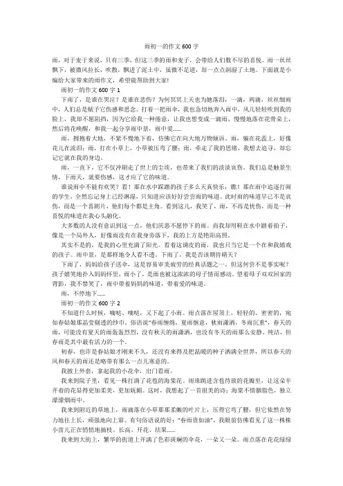 雨初一的作文600字