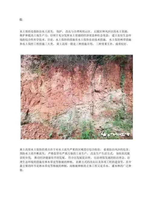黄土高原的水土保持治理措施