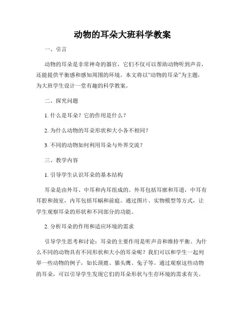 动物的耳朵大班科学教案