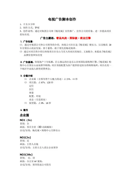 电视广告脚本范本