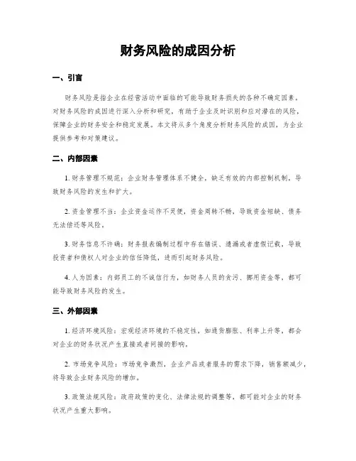 财务风险的成因分析